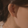 [14K Gold] Cliff Butterfly Earrings