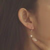 [14K Gold] Steady Hoop Earrings