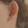 [14K Gold] Serien Earrings