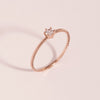 [14K Gold] Bright Pure Ring