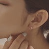 [14K Gold] Sensorville Earrings