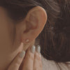 [14K Gold] Wave Earrings