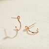 [14K Gold] Have Earrings