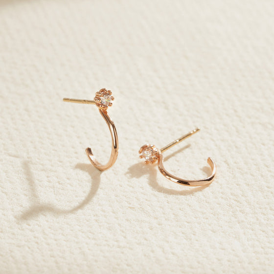 [14K Gold] Have Earrings