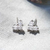[925 SILVER] CARINA Earrings