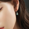 [925 Silver] Waterdrop Fishhook Earrings