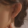 [14K Gold] Cliff Butterfly Earrings