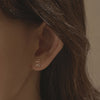 [14K Gold] Rosa Earrings