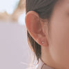 [14K GOLD] Simple 4-Prong Stud Single Earring
