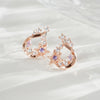 Pierre Earrings