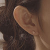 [14K Gold] Wave Earrings