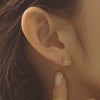 [14K Gold] Rankle Earrings