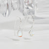 [925 Silver] Waterdrop Fishhook Earrings