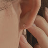 [14K Gold] Melo Morganite Earrings