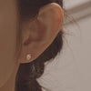 [Penthouse Han Ji-hyun][14K Gold] Swan Earrings