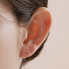 14k Scene Piercing