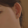 [14K Gold] Forean Rose Flower Earrings