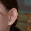 [925 silver] Shine Motion Hoop Earrings