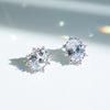 DREAMER Earrings