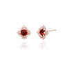 [30% OFF] 925 Silver Robert Birthstone Earrings