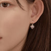 Signity Earrings