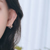 Bed of roses Earrings
