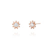 [14K GOLD] Pellier Stud Earrings