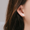 AUBE Earrings SET