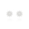 Snow Glitting Earrings