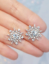 Snow Glitting Earrings
