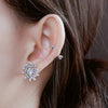 Snow Glitting Earrings