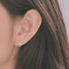 [925 silver] Twinkle Shine Earrings
