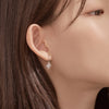 Signity Earrings