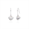 [925 Silver] DELINA Earrings