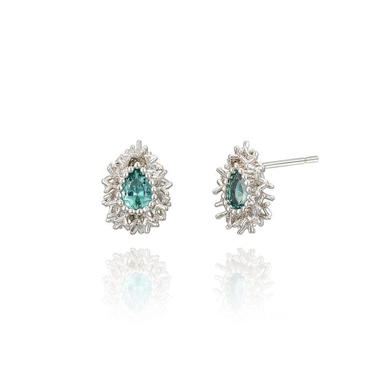 [925 silver] Twinkle Day Earrings