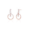 Shine Star Earring