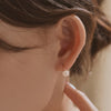 [14K Gold] Plié French Hook Earrings