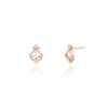 [925 silver] Twinkle Shine Earrings