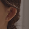 [14K Gold] Paul Shatin Earrings