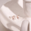 [14K Gold] Elegance Earrings