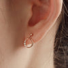 [14K Gold] Klein Earrings