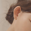 [14K Gold] Darling Moon Earrings