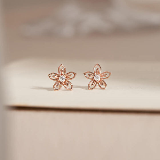 [14K Gold] Lolence Earrings