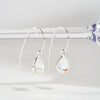 [925 Silver] Waterdrop Fishhook Earrings