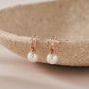[14K Gold] Dewey Earrings