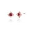 [30% OFF] 925 Silver Robert Birthstone Earrings