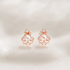[925 silver] Twinkle Shine Earrings