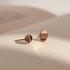 [Penthouse Han Ji-hyun][14K Gold] Swan Earrings