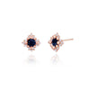 [30% OFF] 925 Silver Robert Birthstone Earrings