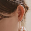 [14K Gold] Ryze Stud Earrings